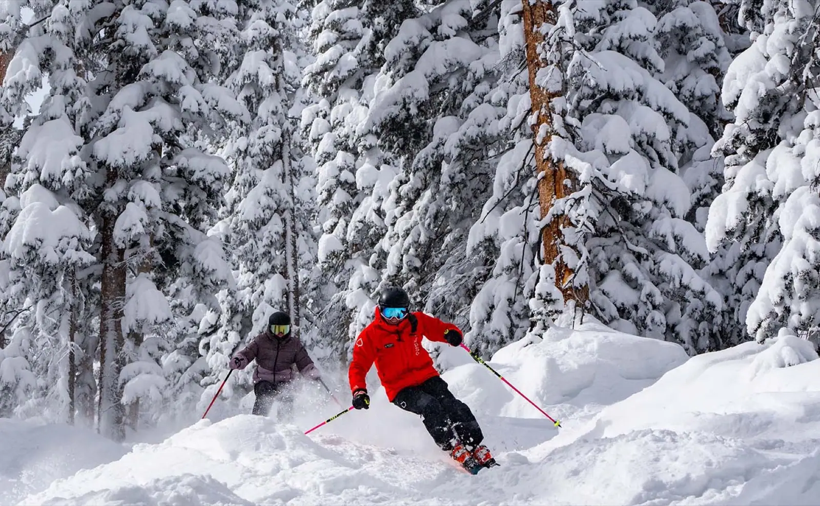 Aspen Snowmass · Private Ski Instructors