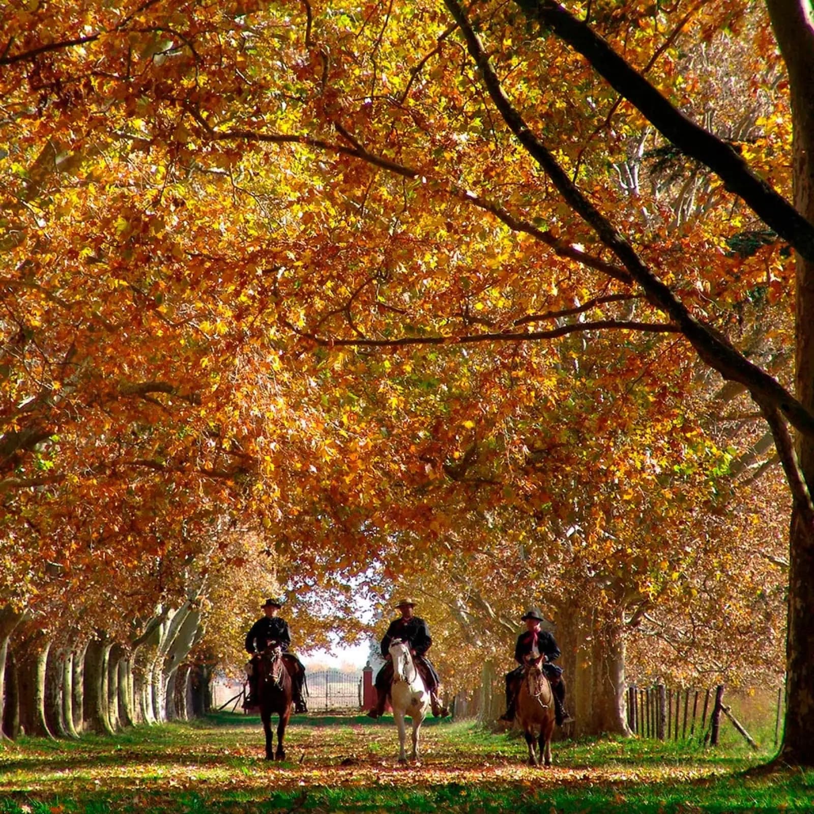 Estancia La Bamba de Areco