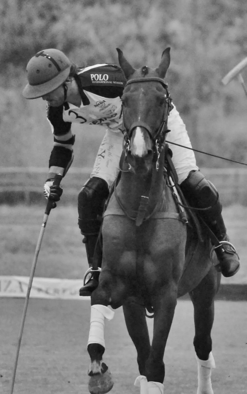 Polo · Santa Gertrudis