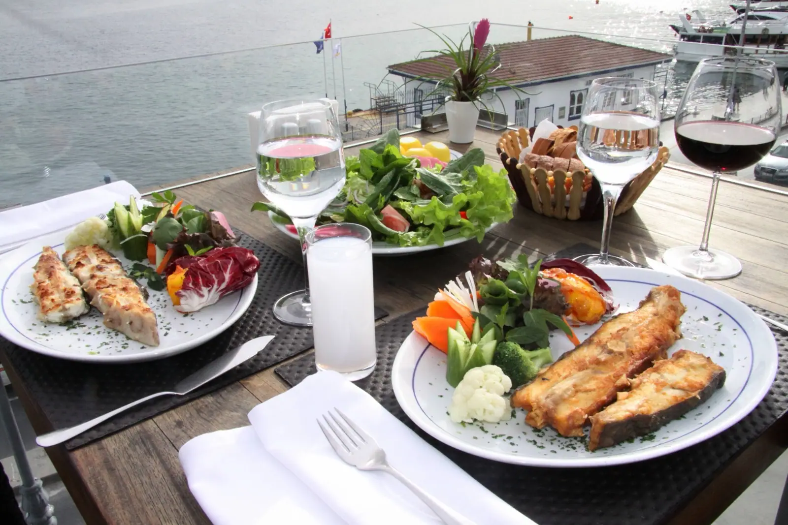 Sur Balık