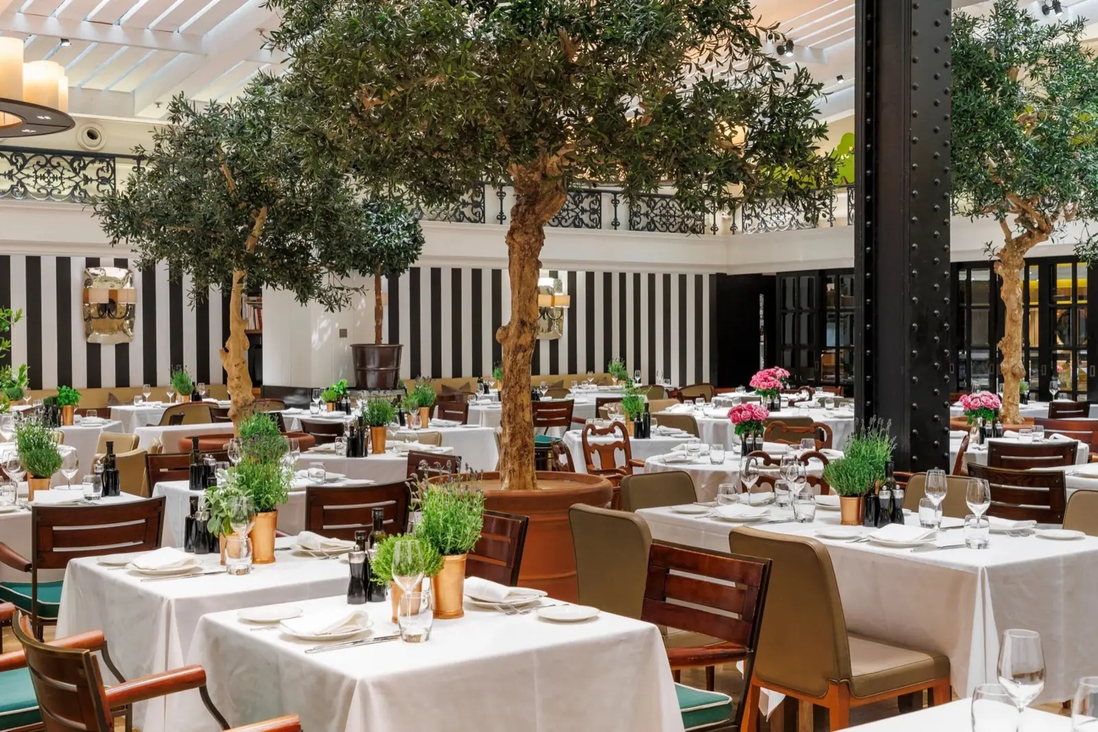 Novikov London