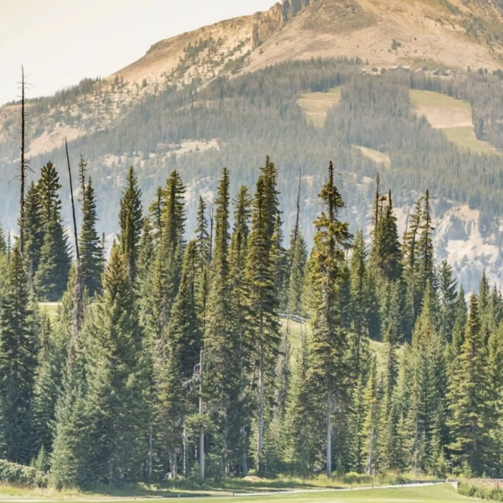 Yellowstone Club