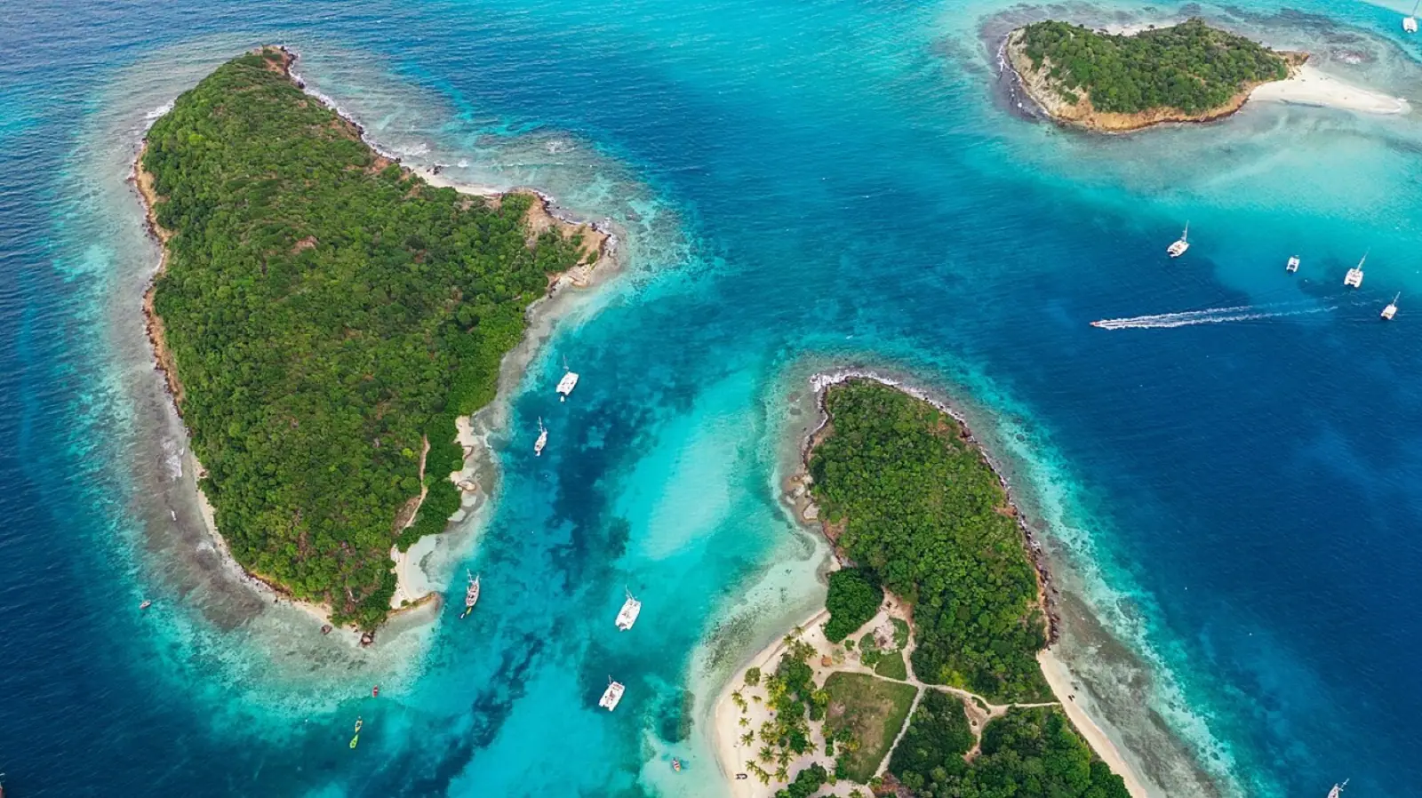 Cruise to the Grenadines · Tobago Cays
