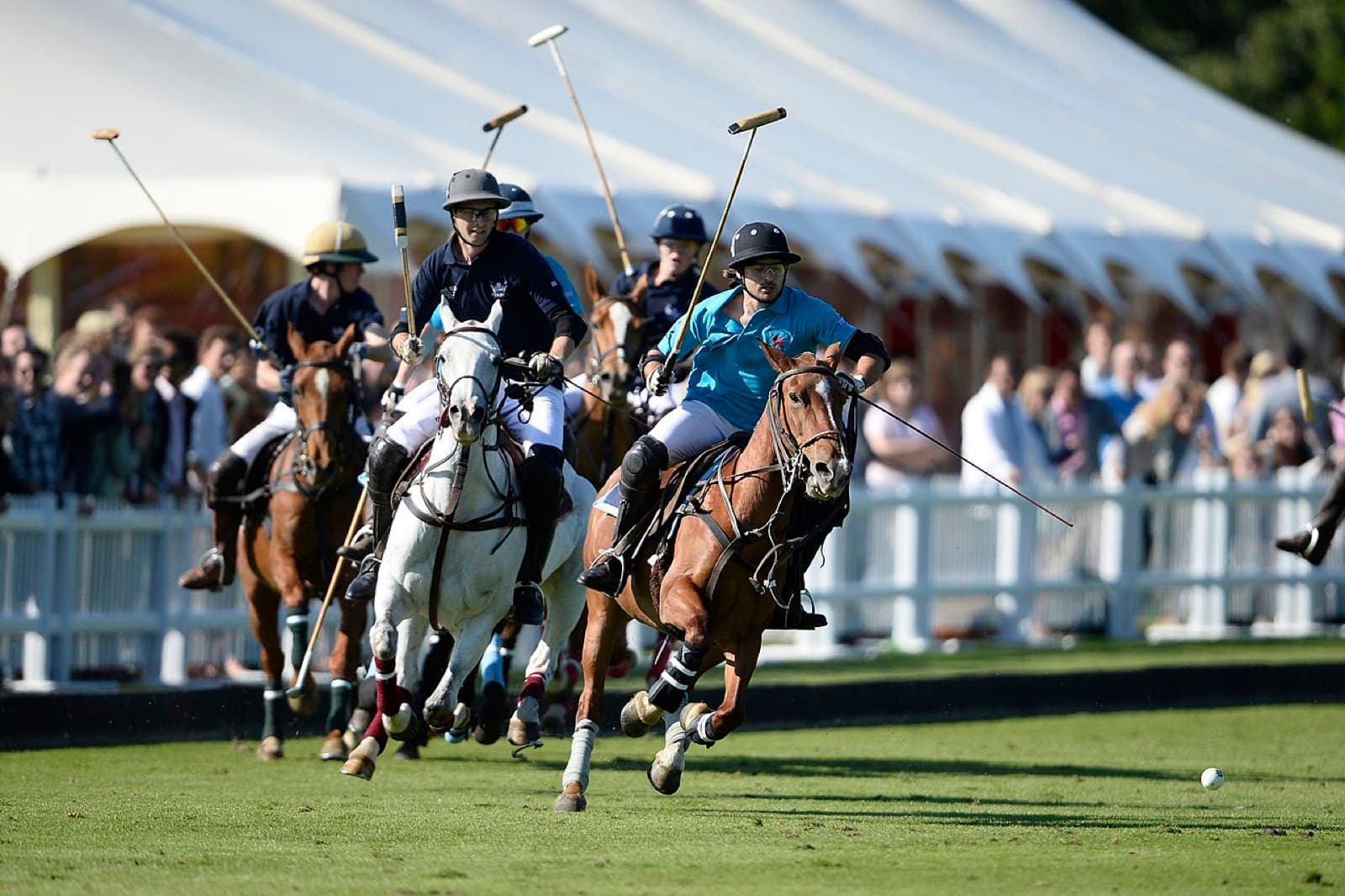 Polo · Monte-Carlo