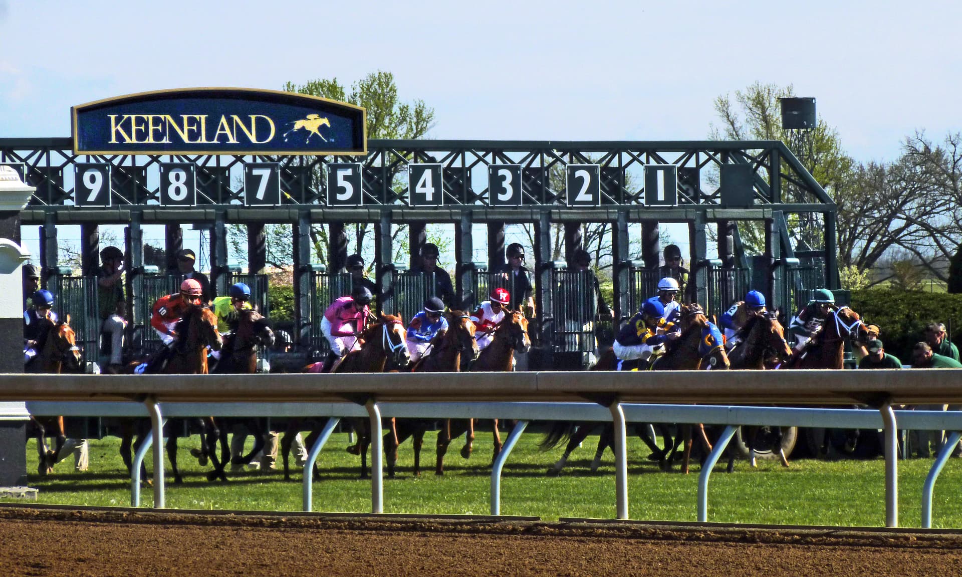 Breeders' Cup 2026 at Keeneland: Where to Stay, Move, and Dine Around Lexington